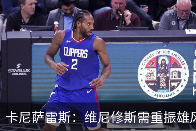 卡尼萨雷斯：维尼修斯需重振雄风，摆脱声望危机